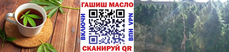 где можно купить наркотик  mega ТОР  Canna-Cookies марихуана  Городец 