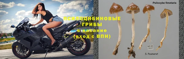 эйфоретик Бородино