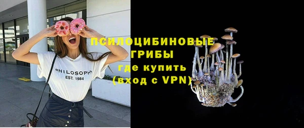 эйфоретик Бородино