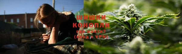 эйфоретик Бородино