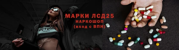 эйфоретик Бородино