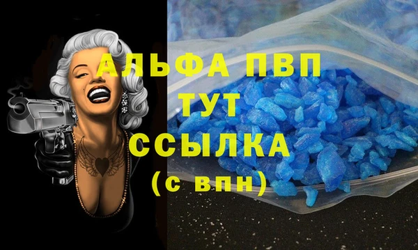 эйфоретик Бородино