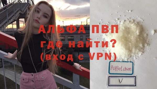 индика Болотное
