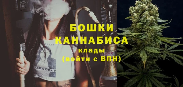эйфоретик Бородино