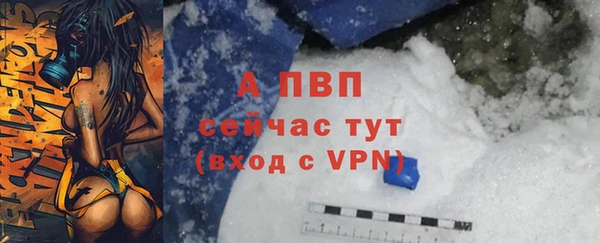 эйфоретик Бородино